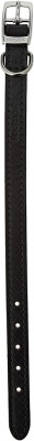 Ancol Diamond Leather Collar Black XS (22-26cm) RRP 5 CLEARANCE XL 2.99